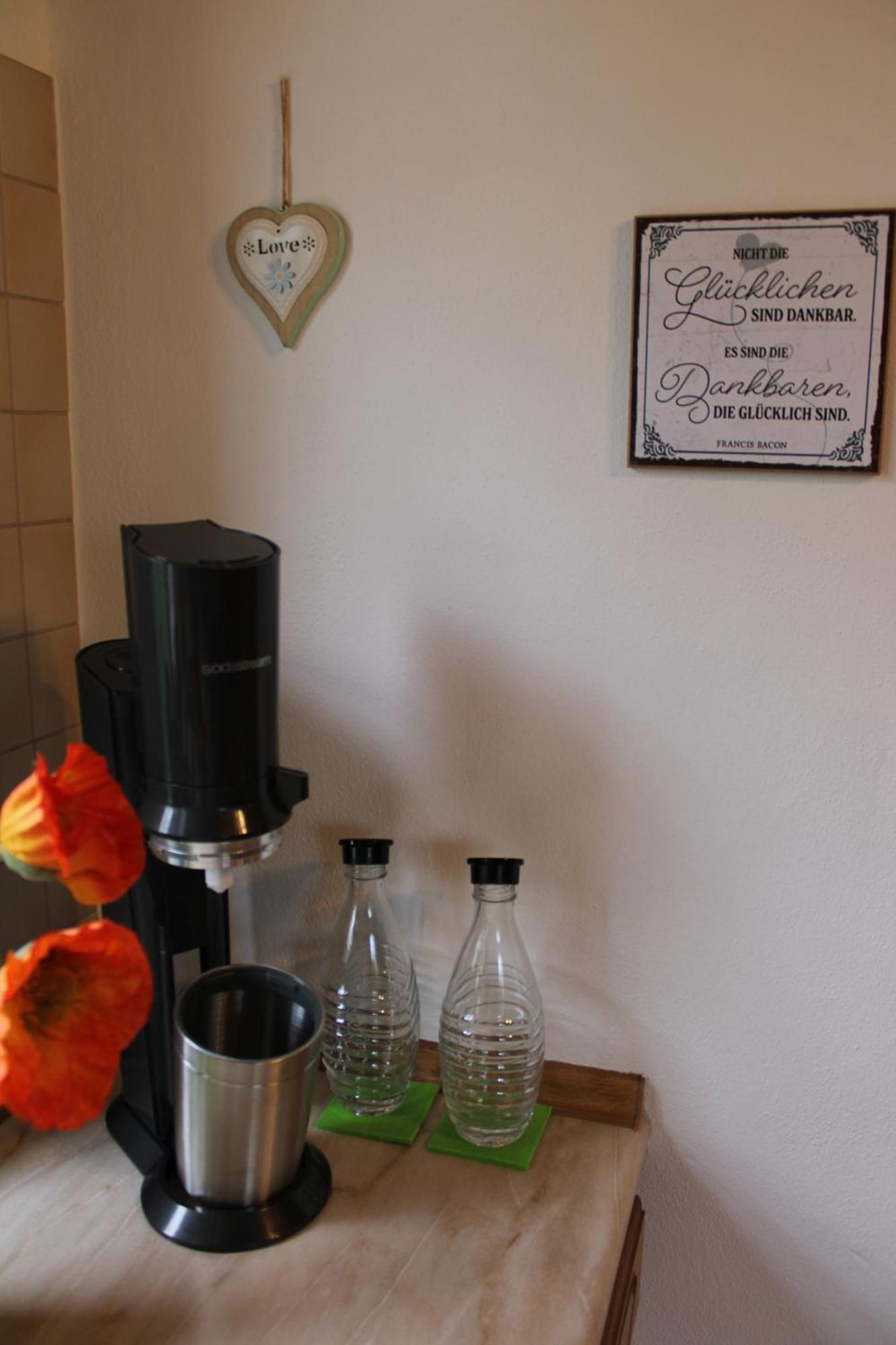 Zumglueckfrei Apartment Пасау Екстериор снимка